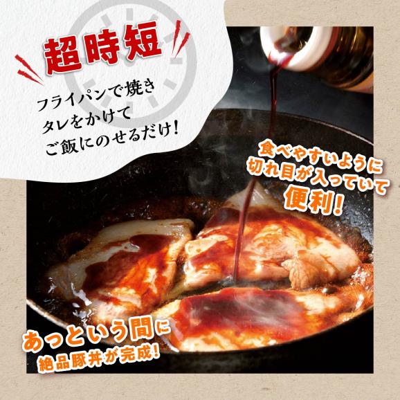 ※冷蔵※この豚丼　ごちそう便セット【3人前】_I013-016305