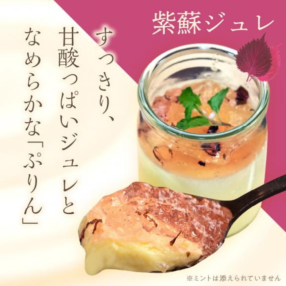 ぷりんのこころ【2種類×3組】_I010-034503