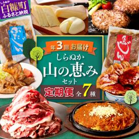 しらぬか山の恵みセット'24-'25【年3回定期便】_I050-1237