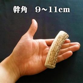えぞ鹿カット角【約10cm×3本】※トリーツ_I012-0434