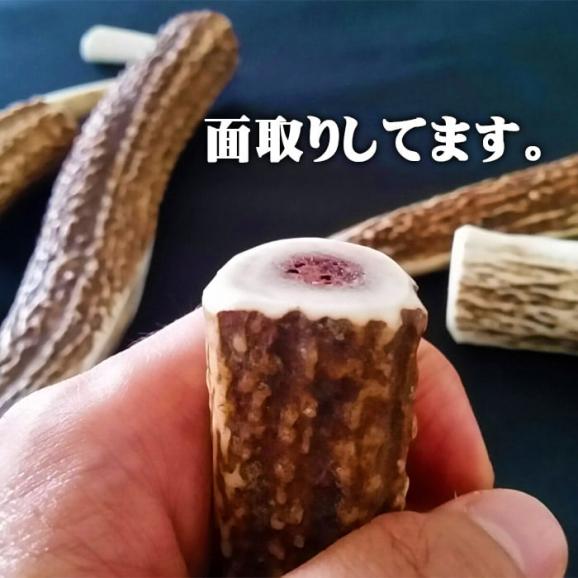 えぞ鹿カット角【約10cm×3本】※トリーツ_I012-043402