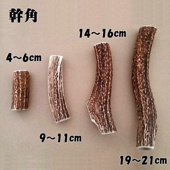 えぞ鹿カット角【約10cm×3本】※トリーツ_I012-043405
