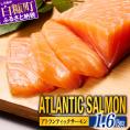 【TOWA SALMON】アトランティック サーモン 【1.6kg】_T024-1221-2611