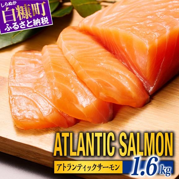【TOWA SALMON】アトランティック サーモン 【1.6kg】_T024-1221-261101