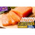 【TOWA SALMON】アトランティック サーモン 【1.6kg】_T024-1221-2601