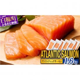 【TOWA SALMON】アトランティック サーモン 【1.6kg】_T024-1221-2601
