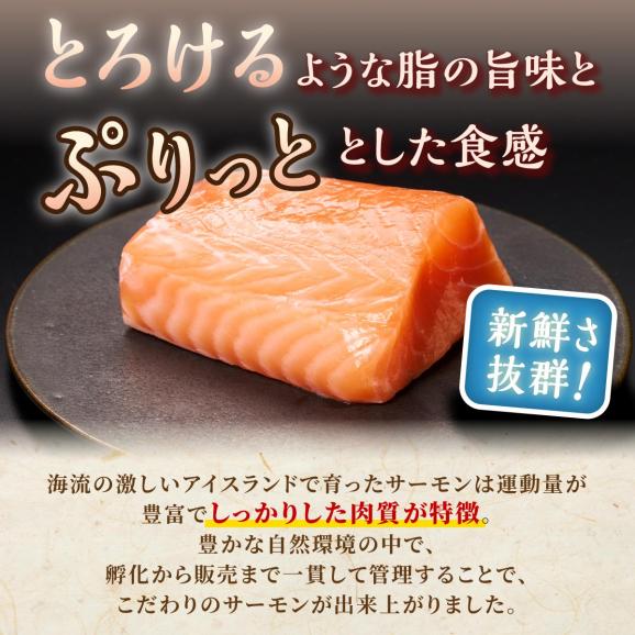 【TOWA SALMON】アトランティック サーモン 【1.6kg】_T024-1221-260103
