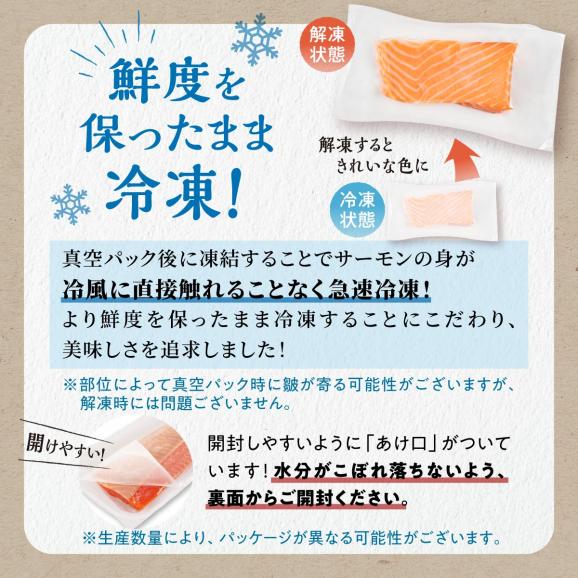 【TOWA SALMON】アトランティック サーモン 【1.6kg】_T024-1221-260106