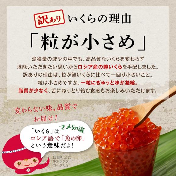 いくら醤油漬（鱒卵）【200g】_K010-111803