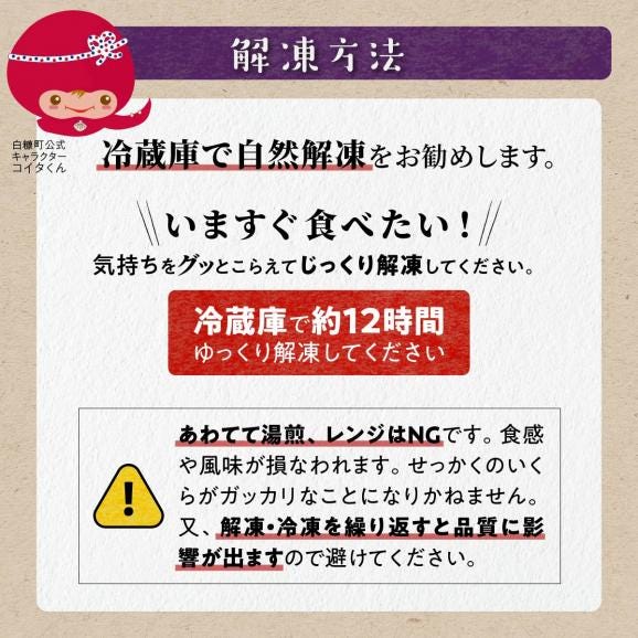 いくら醤油漬（鱒卵）【200g】_K010-111805