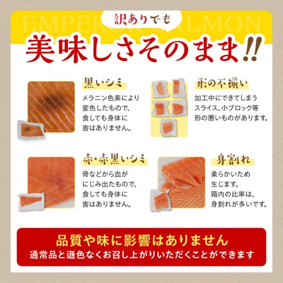 【訳あり】エンペラーサーモン【900g】_T012-101704