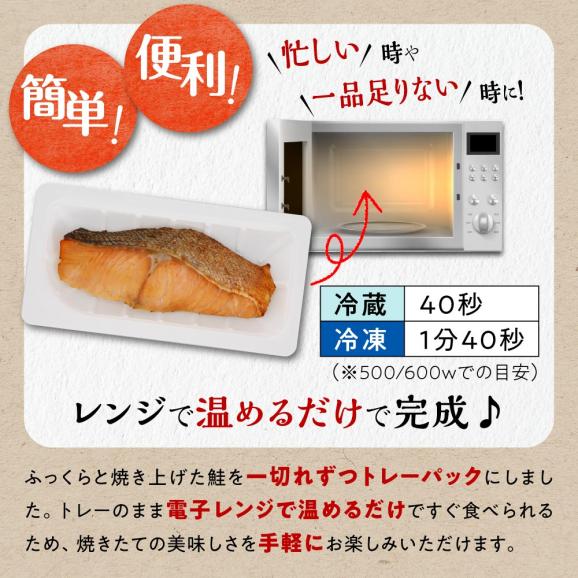 レンジで焼サーモン【10切入り】_T010-171302