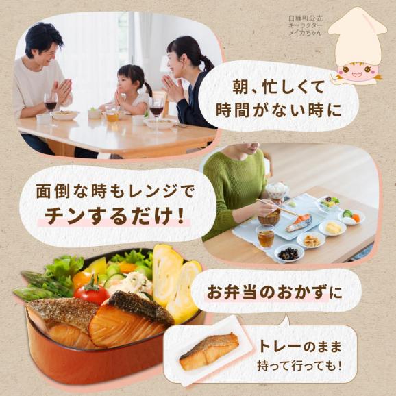 レンジで焼サーモン【10切入り】_T010-171303