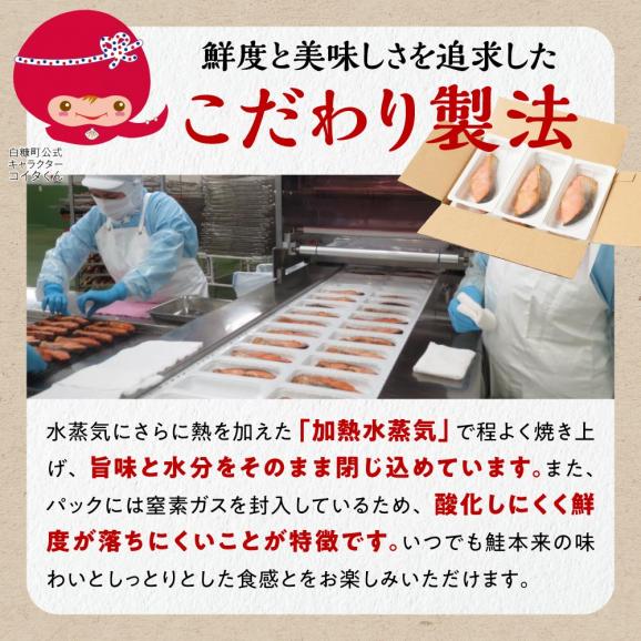 レンジで焼サーモン【10切入り】_T010-171304