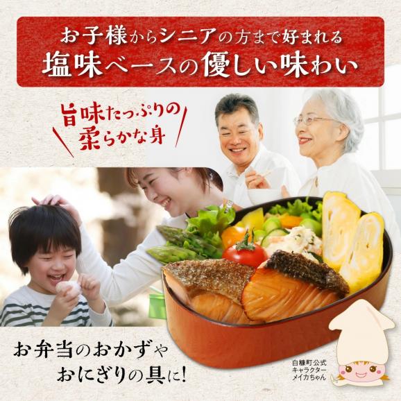 レンジで焼サーモン【10切入り】_T010-171305