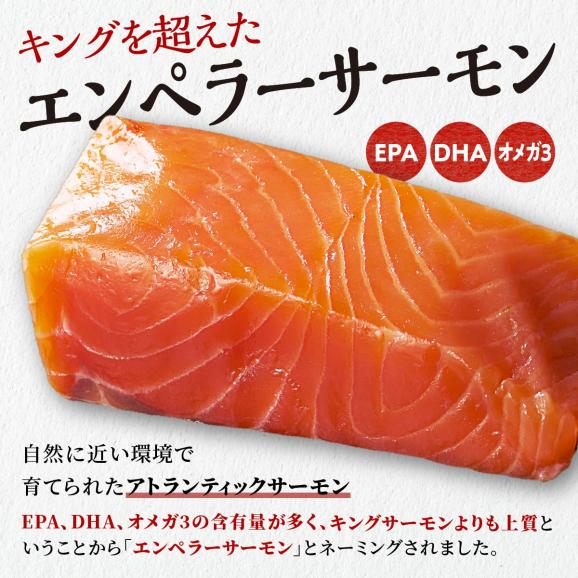 エンペラーサーモン 900g サーモン 鮭 小分け アトランティックサーモン さけ サケ 魚 海鮮 魚介 刺身 北海道 白糠町_T015-091003
