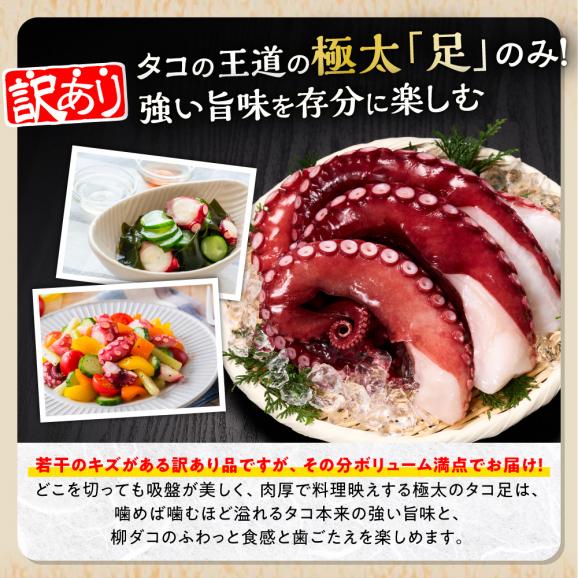 北海道旨味たこ【1.0kg以上&times;足のみ】_I013-182504