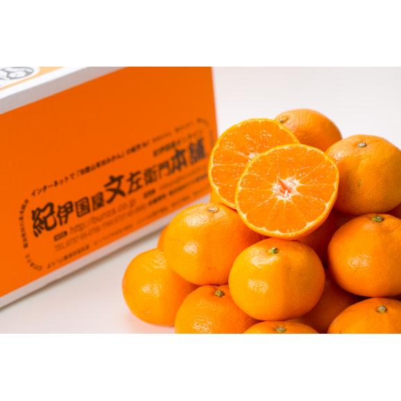【ふるさと納税】V7047_有田みかん【Ｓ】秀品5kg 薄皮で甘い美味しいみかん（お届け日指定不可）02