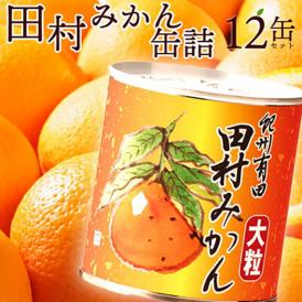 【ふるさと納税】AY6003n_田村みかん 缶詰 12缶セット