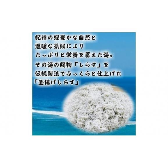 【ふるさと納税】BD6031n_湯浅湾の釜揚げしらす たっぷり 700g02