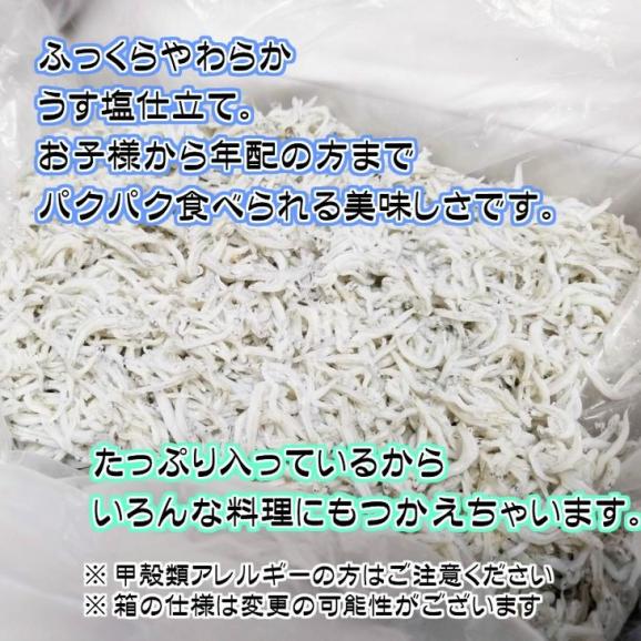 【ふるさと納税】BD6031n_湯浅湾の釜揚げしらす たっぷり 700g03