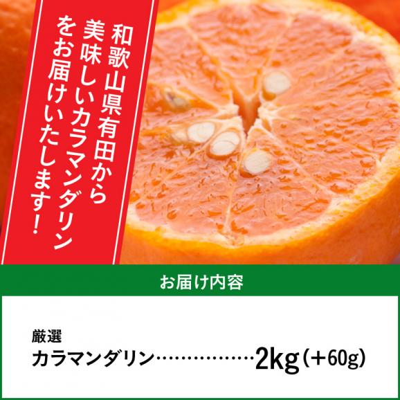 ZH7003_＜4月より発送＞厳選 カラマンダリン2kg+60g（傷み補償分）（なつみ）（希少な春柑橘）06