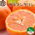 ZH7004_＜4月より発送＞厳選 カラマンダリン5kg+150g（傷み補償分）（なつみ）（希少な春柑橘）