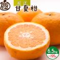 ZH7007_＜4月より発送＞厳選 甘夏柑6.5kg+195g（傷み補償分）（初夏のみかん）（有田産）（光センサー選別）