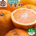 ZH7008_＜4月より発送＞家庭用甘夏柑4.5kg+135g（傷み補償分）（初夏のみかん）（有田産）（訳あり）