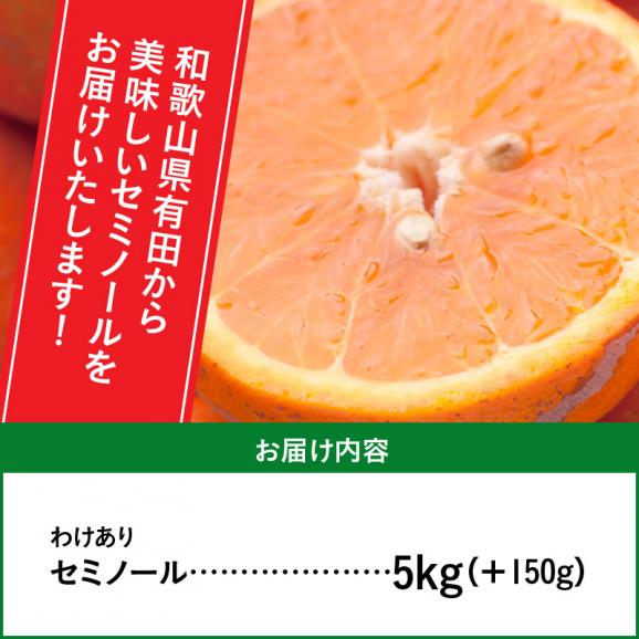 ZH7010_＜4月より発送＞家庭用セミノールオレンジ5kg+150g（傷み補償分）（春みかん）（有田産）（光センサー食べ頃出荷）（訳あり）06