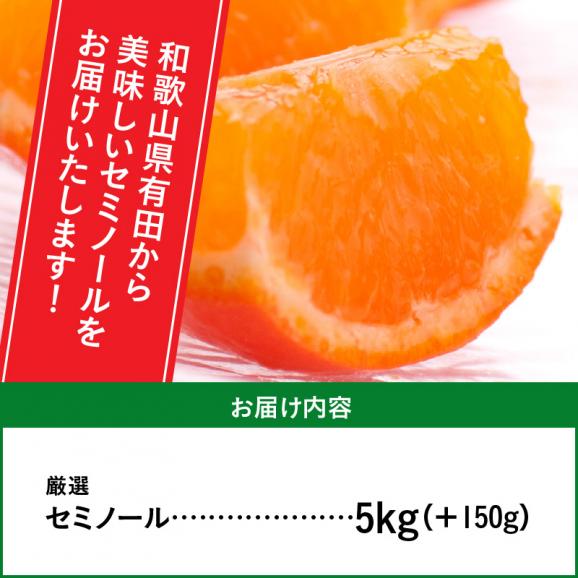 ZH7011_＜4月より発送＞厳選セミノールオレンジ5kg+150g（傷み補償分）（春みかん）（有田産）（光センサー食べ頃出荷）06
