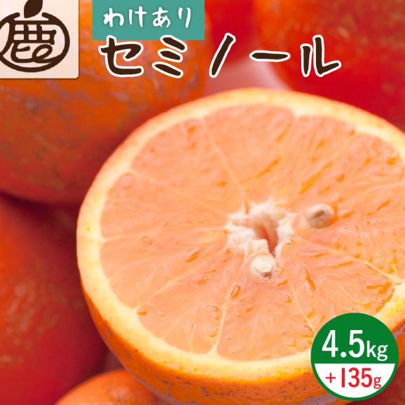 ZH7012_＜4月より発送＞家庭用 セミノールオレンジ4.5kg+135g（傷み補償分）（有田産）（訳あり）01
