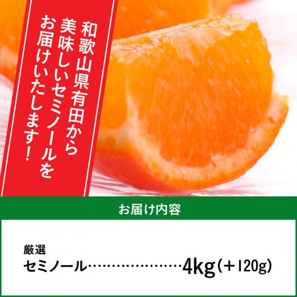 ZH7013_＜4月より発送＞厳選 セミノールオレンジ4kg+120g（傷み補償分）（有田産）（光センサー選別）06