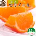 ZH7017_＜4月より発送＞厳選 セミノールオレンジ2.5kg+75g（傷み補償分）（有田産）（光センサー選別）