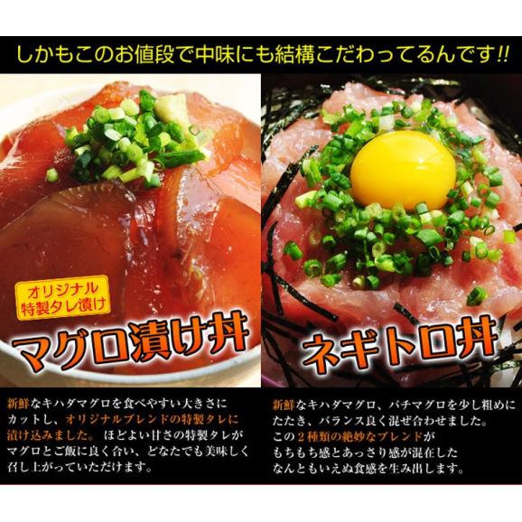 『まぐろ丼セット（マグロ漬け2P・ネギトロ2P）』　合計4Ｐ　※冷凍　○03