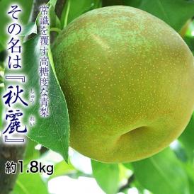 秋麗梨　熊本県産 約1.8kg（目安：5〜7玉） ※冷蔵　送料無料