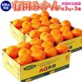 JAありだ ＡＱ共選 『手詰め 有田みかん』 ２Ｌサイズ 約３キロ×３箱（計約9kg） 和歌山産 ※常温 送料無料