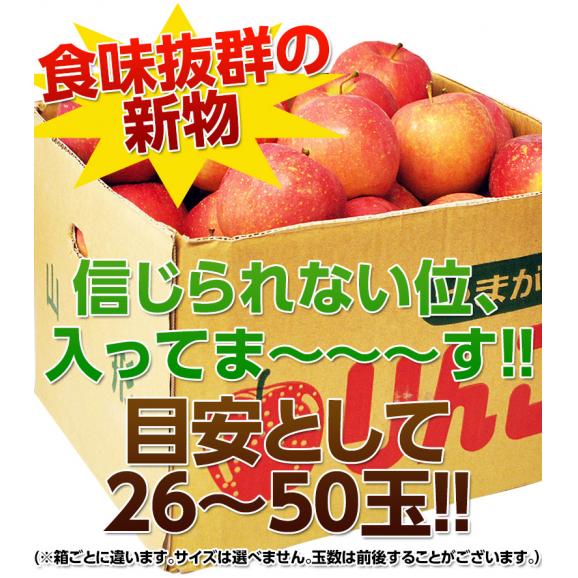 山形産 訳あり  サンふじりんご バラづめ 風袋込 約10kg （目安として26～50玉） ※常温 送料無料02
