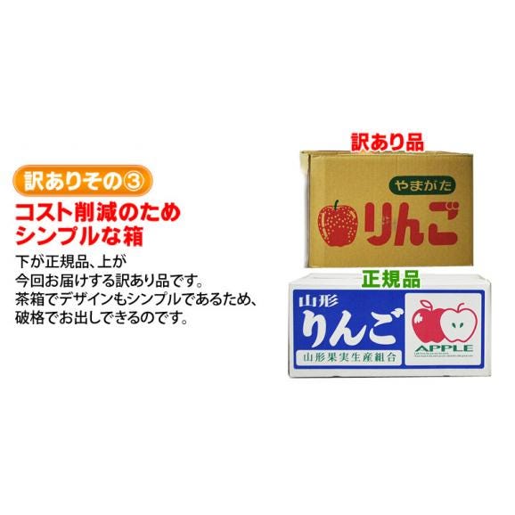 山形産 訳あり 「サンふじりんご」 バラづめ 風袋込 約10kg （目安として26～54玉） ※常温 送料無料06