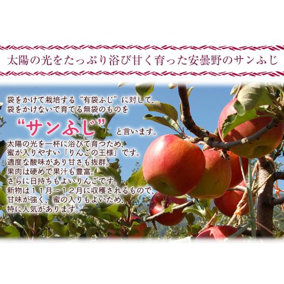 長野県 安曇野産 りんご『サンふじ』風袋込 約3.4kg（1.7kg×2箱)　計10～14玉 産地箱入 ※常温　送料無料04