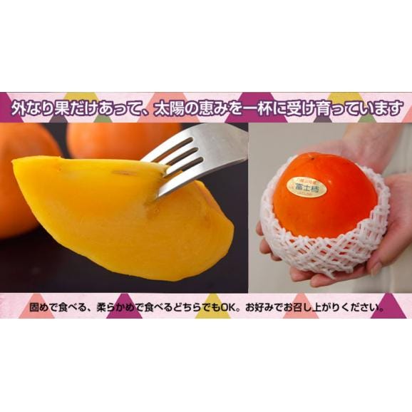 『富士柿』 愛媛県産 約2kg（4～6玉）化粧箱入り ※常温　送料無料04