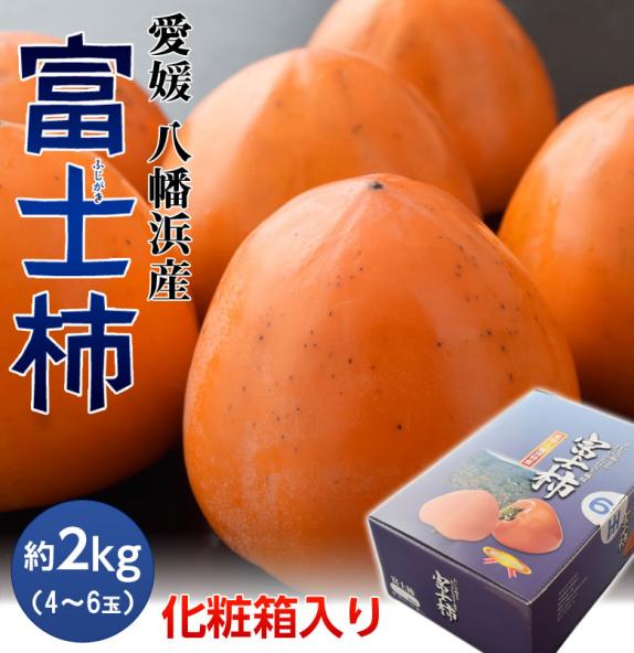 富士柿』 愛媛県産 約2kg（4～6玉）化粧箱入り ※常温 送料無料｜豊洲