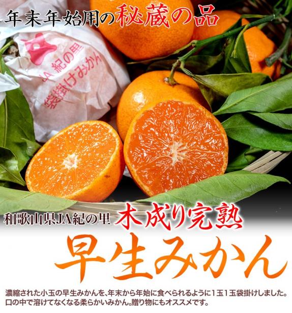 味好鳥' 袋掛けみかん '小サイズ JAながさき県央 味好鳥´ 袋掛けみかん ´小サイズ JAながさき県央