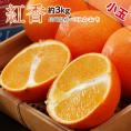 小玉『紅香（べにかおり）品種：天草』長崎県産柑橘 約3kg（15～21玉）風袋込 産地箱 ※常温 送料無料