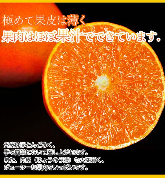 人気カラーの sp2_160115-bnk-03_free_574.jpg 果物