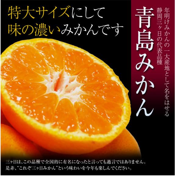 【カード又は代引き限定】三ヶ日みかん 青島種 静岡県産 3～4Lサイズ 約7kg 産地箱 ※常温 JAみっかび　送料無料　三ケ日みかん 青島みかん02