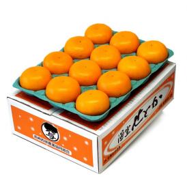 大玉 せとか 長崎県産 柑橘 3～4L 約3kg（8～10玉）産地箱 ※常温 JA長崎せいひ 送料無料