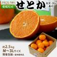 JAにしうわ 愛媛県産 訳あり 『せとか』 約2.5kg M～3Lサイズ 簡易包装 ※常温 送料無料