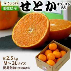 JAにしうわ 愛媛県産 訳あり 『せとか』 約2.5kg M～3Lサイズ 簡易包装 ※常温 送料無料