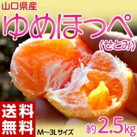 ゆめほっぺ 山口県産 風袋込 約2.5kg S〜3Lサイズ (10〜20玉程度) 簡易箱 ※常温　送料無料 柑橘 みかん